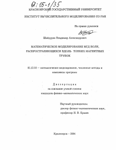 Диссертация по информатике, вычислительной технике и управлению на тему «Математическое моделирование МГД волн, распространяющихся вдоль тонких магнитных трубок»