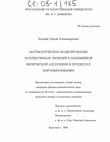 Диссертация по информатике, вычислительной технике и управлению на тему «Математическое моделирование коллективных явлений в нелинейной физической адсорбции и процессах порообразования»