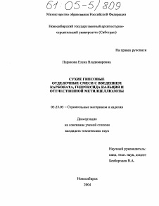 Диссертация по строительству на тему «Сухие гипсовые отделочные смеси с введением карбоната, гидроксида кальция и отечественной метилцеллюлозы»