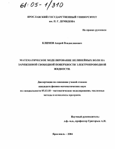 Диссертация по информатике, вычислительной технике и управлению на тему «Математическое моделирование нелинейных волн на заряженной свободной поверхности электропроводной жидкости»