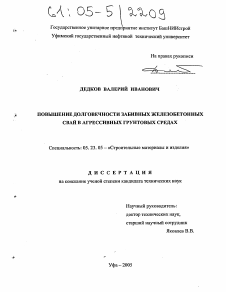 Диссертация по строительству на тему «Повышение долговечности забивных железобетонных свай в агрессивных грунтовых средах»