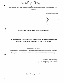 Диссертация по машиностроению и машиноведению на тему «Организация процессов управления энергетическими ресурсами промышленных предприятий»