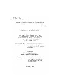 Диссертация по информатике, вычислительной технике и управлению на тему «Математические модели и методы оказания ориентационной поддержки экономического выбора индивидуума в сфере личного потребления продуктов питания»