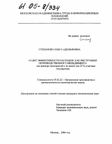 Диссертация по машиностроению и машиноведению на тему «Аудит эффективности расходов как инструмент производственного менеджмента»