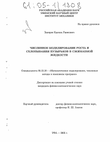 Диссертация по информатике, вычислительной технике и управлению на тему «Численное моделирование роста и схлопывания пузырьков в сжимаемой жидкости»