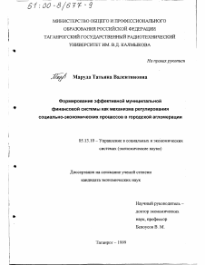 Диссертация по информатике, вычислительной технике и управлению на тему «Формирование эффективной муниципальной финансовой системы как механизма регулирования социально-экономических процессов в городской агломерации»