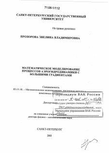 Диссертация по информатике, вычислительной технике и управлению на тему «Математическое моделирование процессов аэрогидродинамики с большими градиентами»