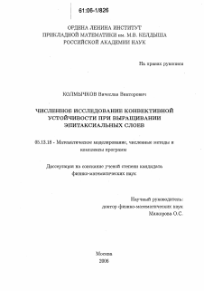 Диссертация по информатике, вычислительной технике и управлению на тему «Численное исследование конвективной устойчивости при выращивании эпитаксиальных слоев»