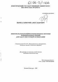 Диссертация по информатике, вычислительной технике и управлению на тему «Многоканальная нейросетевая модель системы компьютерного зрения для задач текстурной сегментации»