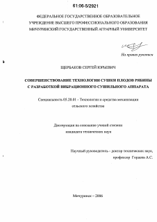 Диссертация по процессам и машинам агроинженерных систем на тему «Совершенствование технологии сушки плодов рябины с разработкой вибрационного сушильного аппарата»