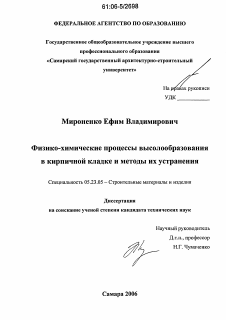 Диссертация по строительству на тему «Физико-химические процессы высолообразования в кирпичной кладке и методы их устранения»