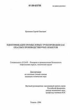 Диссертация по безопасности жизнедеятельности человека на тему «Идентификация промысловых трубопроводов как опасных производственных объектов»