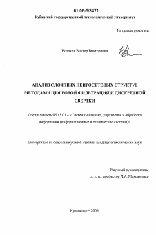 Диссертация по информатике, вычислительной технике и управлению на тему «Анализ сложных нейросетевых структур методами цифровой фильтрации и дискретной свертки»