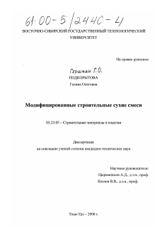 Диссертация по строительству на тему «Модифицированные сухие строительные смеси»