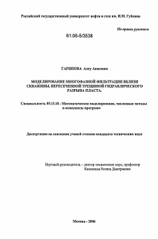 Диссертация по информатике, вычислительной технике и управлению на тему «Моделирование многофазной фильтрации вблизи скважины, пересеченной трещиной гидравлического разрыва пласта»