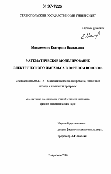 Диссертация по информатике, вычислительной технике и управлению на тему «Математическое моделирование электрического импульса в нервном волокне»