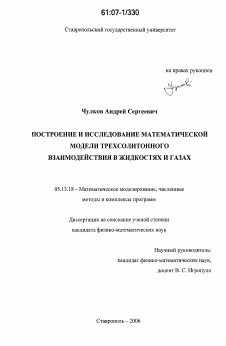 Диссертация по информатике, вычислительной технике и управлению на тему «Построение и исследование математической модели трехсолитонного взаимодействия в жидкостях и газах»