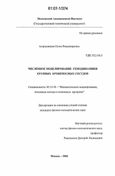 Диссертация по информатике, вычислительной технике и управлению на тему «Численное моделирование гемодинамики крупных кровеносных сосудов»