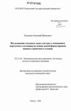 Диссертация по информатике, вычислительной технике и управлению на тему «Исследование тепловых задач для сред с изменением агрегатного состояния на основе новой формулировки нижнего граничного условия»