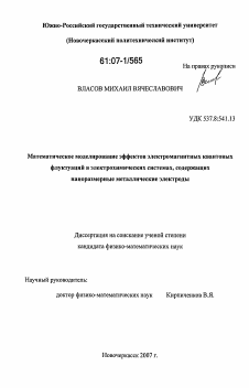 Диссертация по информатике, вычислительной технике и управлению на тему «Математическое моделирование эффектов электромагнитных квантовых флуктуаций в электрохимических системах, содержащих наноразмерные металлические электроды»