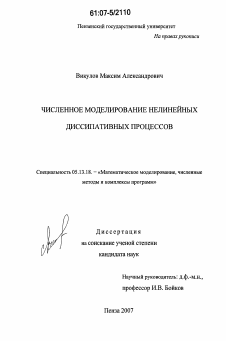 Диссертация по информатике, вычислительной технике и управлению на тему «Численное моделирование нелинейных диссипативных процессов»