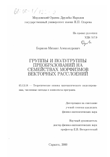 Диссертация по информатике, вычислительной технике и управлению на тему «Группы и полугруппы преобразований на семействах морфизмов векторных расслоений»