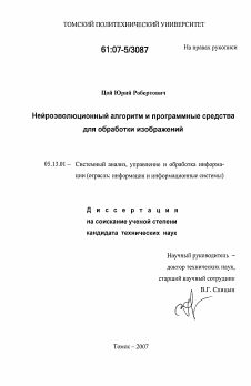 Диссертация по информатике, вычислительной технике и управлению на тему «Нейроэволюционный алгоритм и программные средства для обработки изображений»