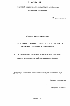 Диссертация по электронике на тему «Атомарная структура поверхности и сенсорные свойства углеродных нанотрубок»