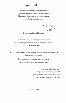 Диссертация по информатике, вычислительной технике и управлению на тему «Математическое моделирование водного и солевого режимов в почвах с фрактальной организацией»