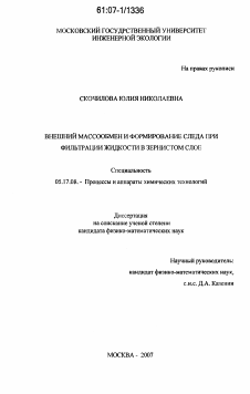 Диссертация по химической технологии на тему «Внешний массообмен и формирование следа при фильтрации жидкости в зернистом слое»