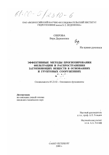 Диссертация по строительству на тему «Эффективные методы прогнозирования фильтрации и распространения загрязняющих веществ в основаниях и грунтовых сооружениях»