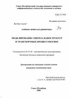 Диссертация по информатике, вычислительной технике и управлению на тему «Моделирование синтеза наноструктур и транспортных процессов в них»