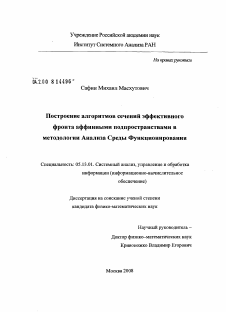 Диссертация по информатике, вычислительной технике и управлению на тему «Построение алгоритмов сечений эффективного фронта аффинными подпространствами в методологии Анализа Среды Функционирования»