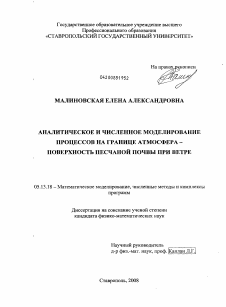 Диссертация по информатике, вычислительной технике и управлению на тему «Аналитическое и численное моделирование процессов на границе атмосфера - поверхность песчаной почвы при ветре»