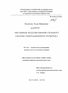 Диссертация по информатике, вычислительной технике и управлению на тему «Численное моделирование сильного сжатия кавитационного пузырька»