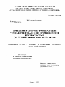 Диссертация по безопасности жизнедеятельности человека на тему «Принципы и способы формирования технологии управления промышленной безопасностью»