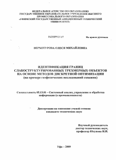 Диссертация по информатике, вычислительной технике и управлению на тему «Идентификация границ слабоструктурированных трехмерных объектов на основе методов дискретной оптимизации»