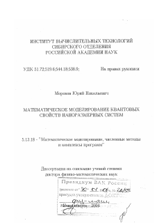 Диссертация по информатике, вычислительной технике и управлению на тему «Математическое моделирование квантовых свойств наноразмерных систем»