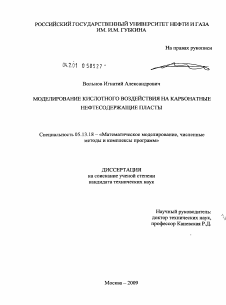 Диссертация по информатике, вычислительной технике и управлению на тему «Моделирование кислотного воздействия на карбонатные нефтесодержащие пласты»