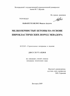 Диссертация по строительству на тему «Мелкозернистые бетоны на основе пирокластических пород Эквадора»