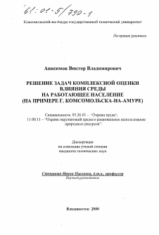 Диссертация по безопасности жизнедеятельности человека на тему «Решение задач комплексной оценки влияния среды на работающее население»