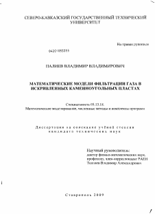 Диссертация по информатике, вычислительной технике и управлению на тему «Математические модели фильтрации газа в искривленных каменноугольных пластах»