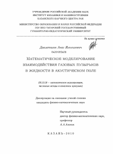 Диссертация по информатике, вычислительной технике и управлению на тему «Математическое моделирование взаимодействия газовых пузырьков в жидкости в акустическом поле»