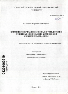 Диссертация по химической технологии на тему «Кремнийсодержащие аминные отвердители и защитные эпоксидные композиции с их использованием»