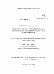 Диссертация по информатике, вычислительной технике и управлению на тему «Моделирование и численный анализ конвективных движений жидкости в пористой среде»