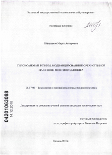 Диссертация по химической технологии на тему «Силоксановые резины, модифицированные органоглиной на основе монтмориллонита»