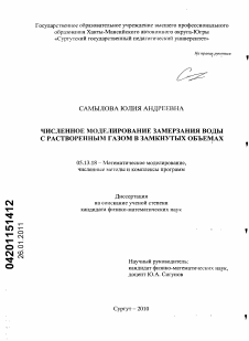 Диссертация по информатике, вычислительной технике и управлению на тему «Численное моделирование замерзания воды с растворенным газом в замкнутых объемах»