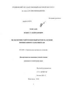 Диссертация по строительству на тему «Мелкозернистый ремонтный бетон на основе пропитанного наполнителя»