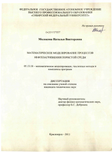 Диссертация по информатике, вычислительной технике и управлению на тему «Математическое моделирование процессов нефтезагрязнения пористой среды»