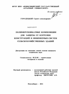 Диссертация по строительству на тему «Полимерсиликатные композиции для защиты от коррозии конструкций и инженерных систем сельскохозяйственных зданий»